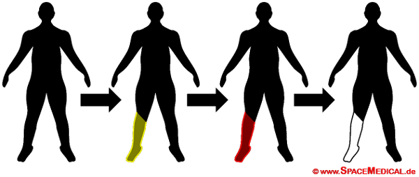Gesundheitssystem